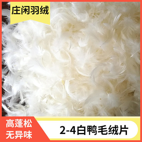 供应沙发枕芯床垫抱枕填充物2--4-6水洗白鸭毛绒片蓬松无异味