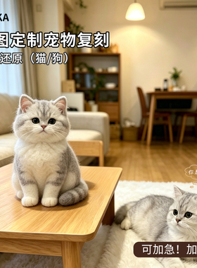 纯手工仿真猫咪来图定制羊毛毡纪念离世玩偶成品摆件宠物复刻礼物
