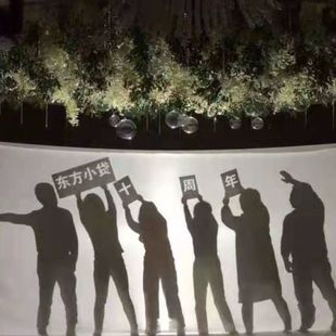 全套影子剧幕布白布人影表演光影剧道具皮影戏灯光秀投影幕布特价
