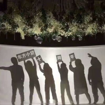 全套影子剧幕布白布人影表演光影剧道具皮影戏灯光秀投影幕布特价