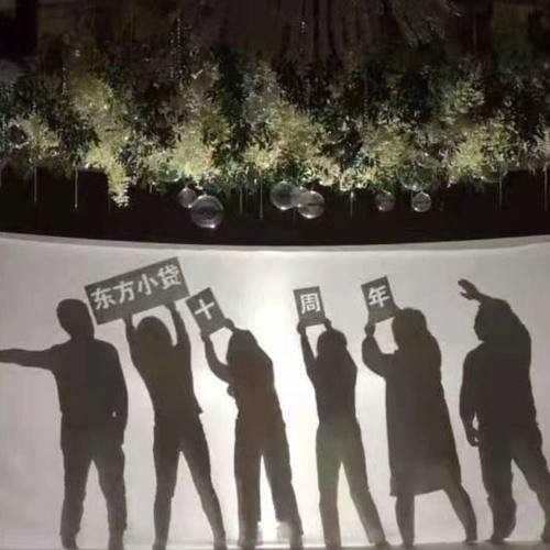 全套影子剧幕布白布人影表演光影剧道具皮影戏灯光秀投影幕布特价