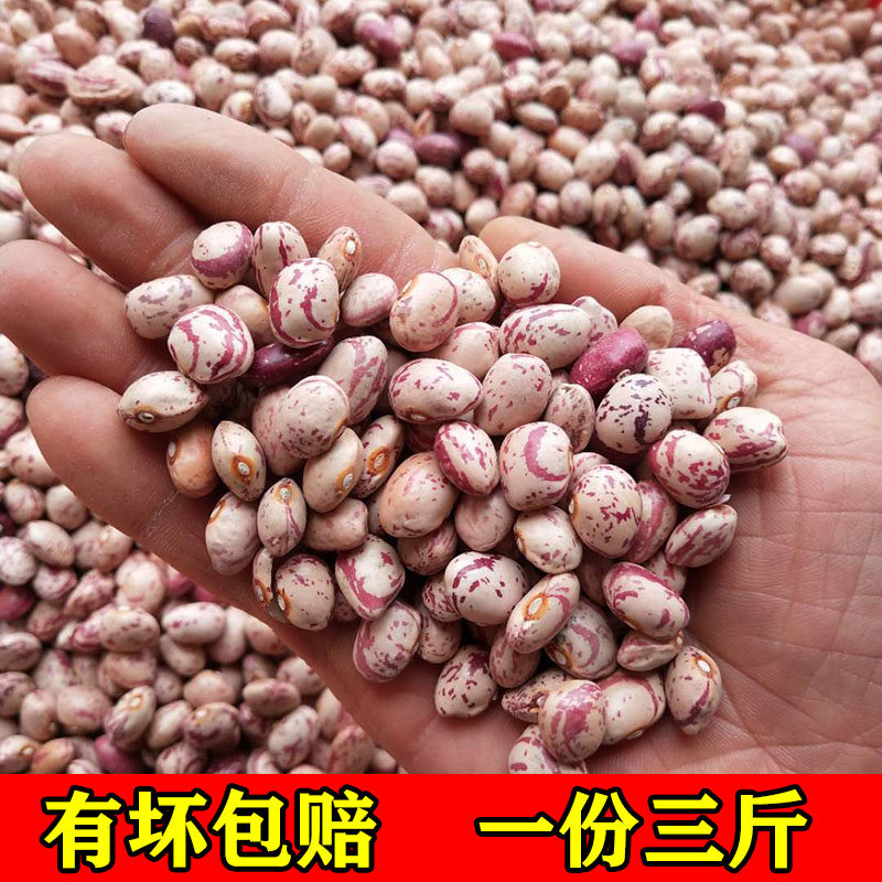 奶花芸豆雀蛋豆芸雀豆花生芸豆饭豆花生豆花豆奶豆贵州特产干货杂,粮油调味/速食/干货/烘焙,其它,淘宝优惠券,粉丝福利购,淘宝优惠卷