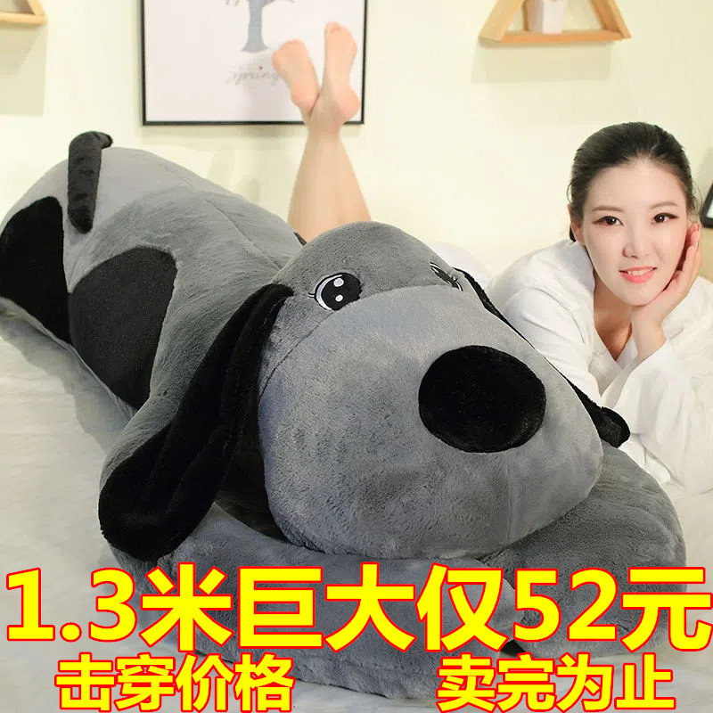 迷糊熊公仔抱枕PP棉可爱