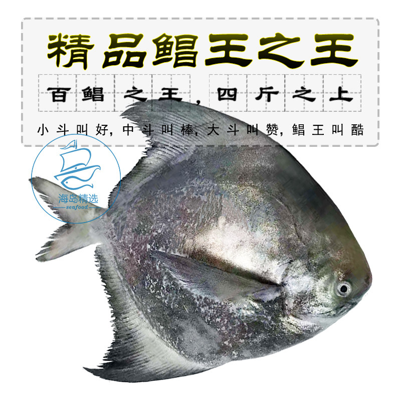 东山岛野生深海斗鲳鲳中国海鲜