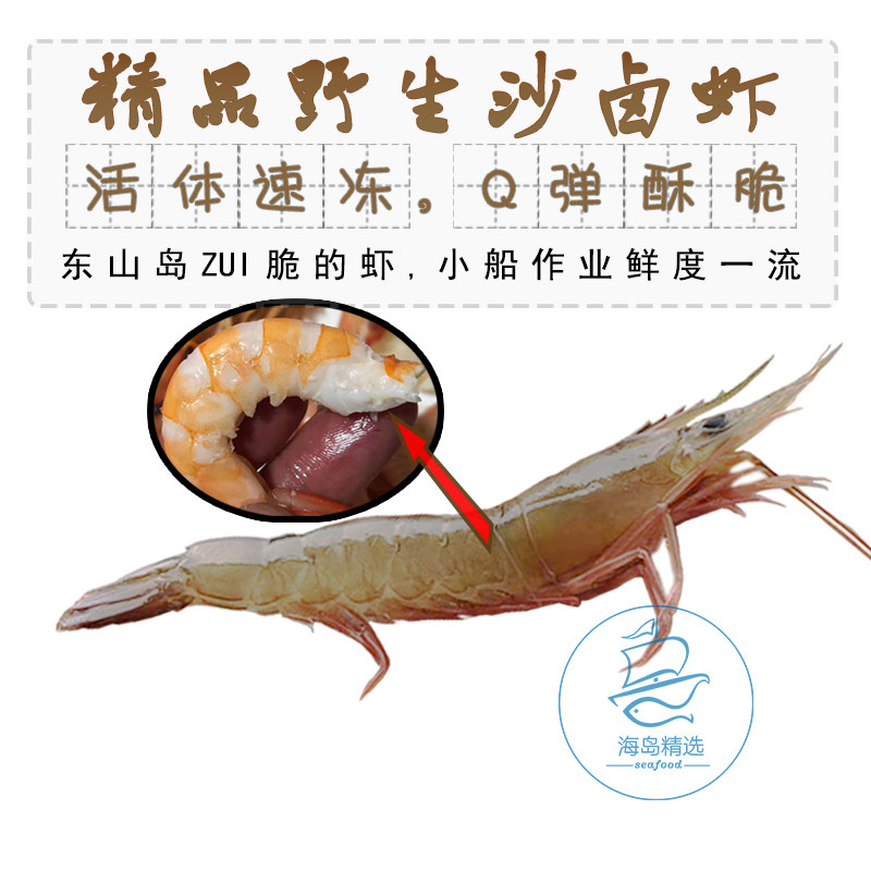 东山岛 野生沙虾沙卤虾 新鲜活虾速冻活冻海虾海鲜500g约30条左右