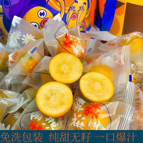 第四代融安脆密金柑纯甜多汁独立免洗包装 坏果包赔