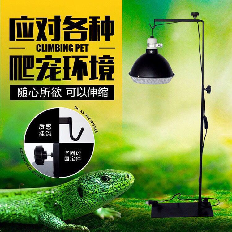 多肉宠物灯架爬宠杠灯架