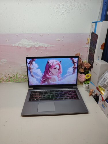 二手机械师T90 Plus‑TB游戏本 i7六核，4G独显，17.3英寸大屏