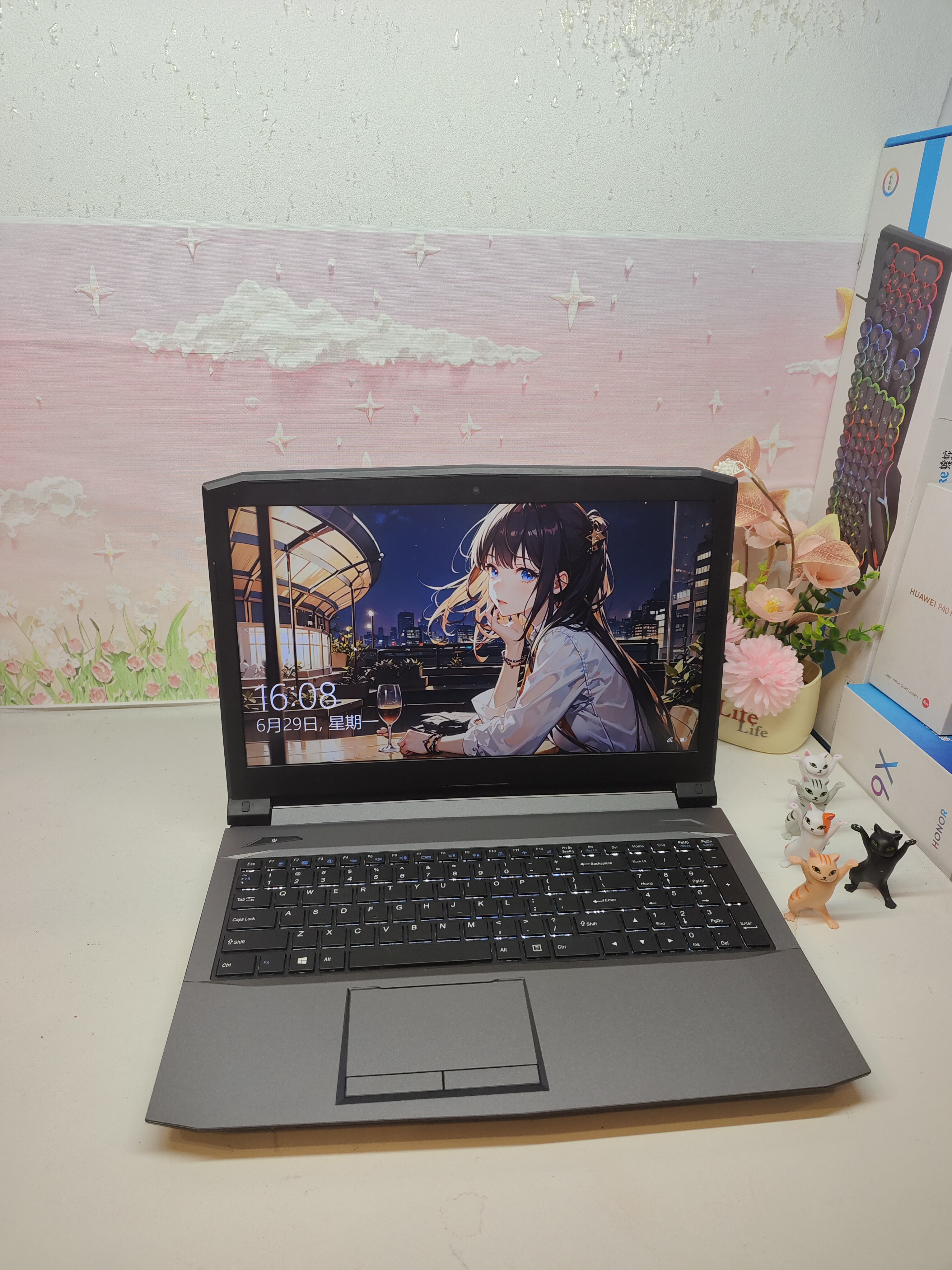 二手机械师高性能电竞游戏本8代i7六核GTX1050Ti 4G独立显卡图片