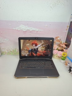 二手雷神911Targa游戏本,7代i7标压处理器+GTX1050Ti 4G独显