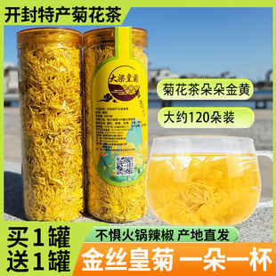 河南开封特产菊花茶金丝皇菊一朵一杯大梁皇菊罐装黄菊花茶批发茶