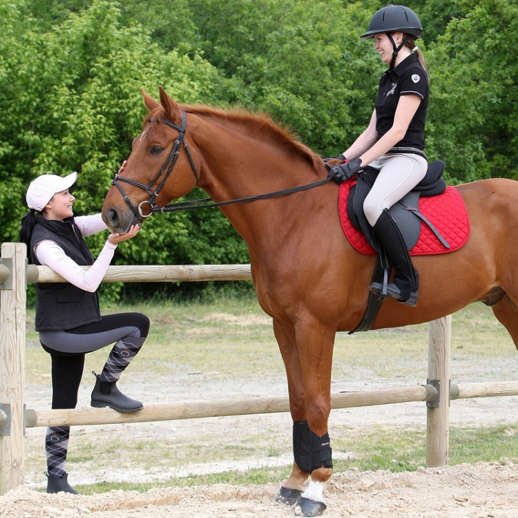 Article sports equestres M - Ref 1381743 Image 5