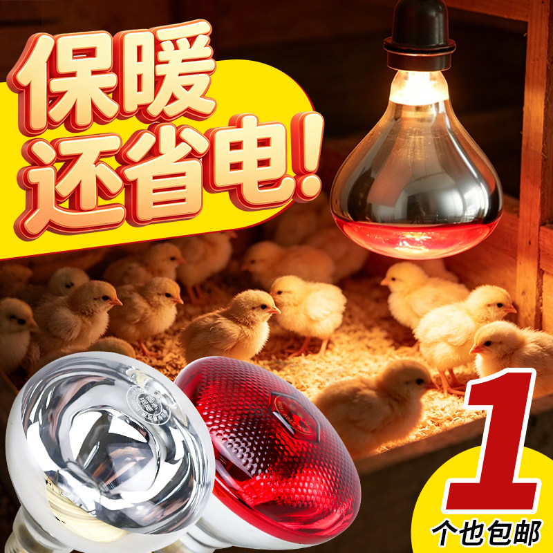 冬季养殖场保温发热灯泡仔猪牛羊图片
