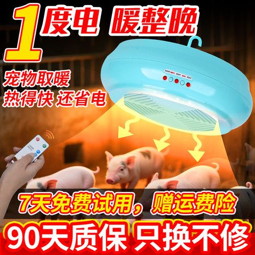宠物专用暖风机小型恒温取暖设备
