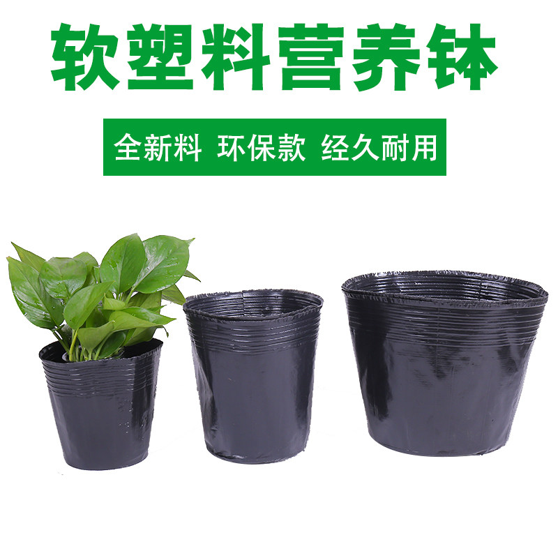 加厚营养钵育苗盆黑色果树育苗袋塑料一次性种植袋花盆育苗杯