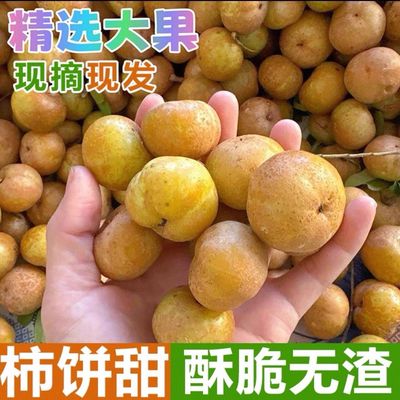 正宗甜种冰糖新鲜酥脆无渣甘甜油甘生吃零食潮汕水果脆甜橄榄