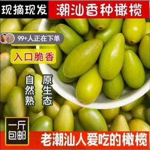 正宗金灶二号甜种冰糖新鲜酥脆无渣甘甜生吃零食潮汕水果青香橄榄