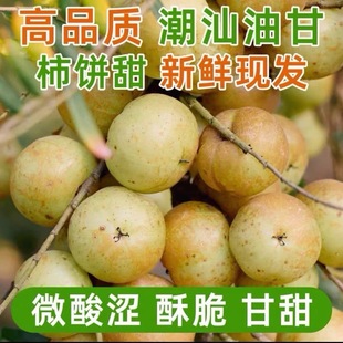 正宗甜种冰糖新鲜酥脆无渣甘甜油甘生吃零食潮汕水果脆甜橄榄