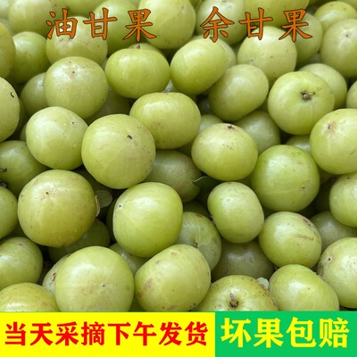 正宗潮汕普宁柿饼甜油甘鲜果