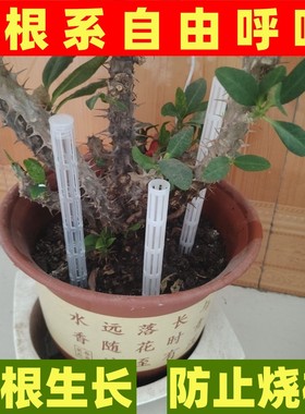 一种新型花盆底部透气管新品盆土透气花盆通风管盆土防烂根神器