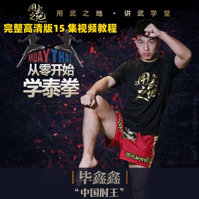 从零开始学泰拳用武之地站立搏击格斗零基础【在线观看非实物】
