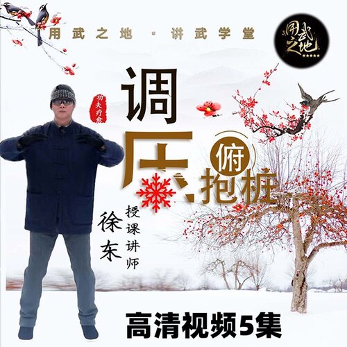 调压俯抱桩-调理血压【在线观看非实物】
