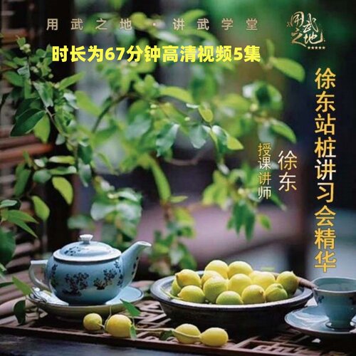 徐东站桩讲习会精华——徐师亲授【在线观看非实物】