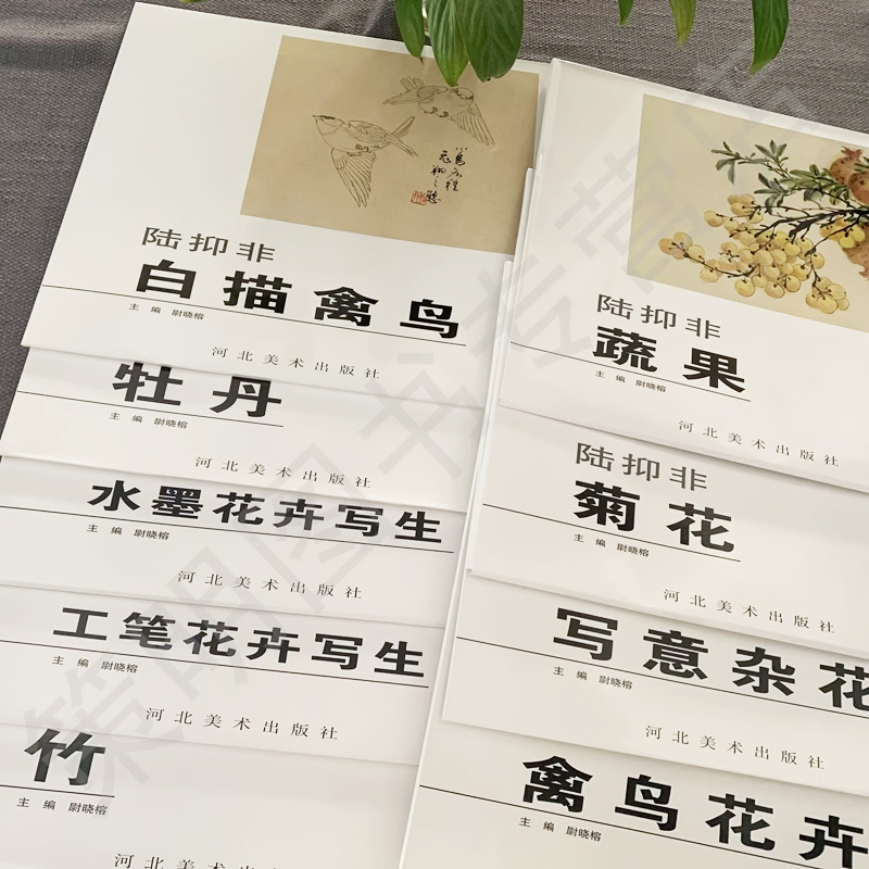 陆抑非花鸟教学示范作品全9册