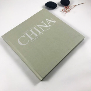 王建军 中国摄影艺术家 经典摄影集摄影书籍构图和用光 摄影大师作品集照片欣赏 自然风景景物人像拍摄技巧鉴赏书籍 摄影笔记 正版