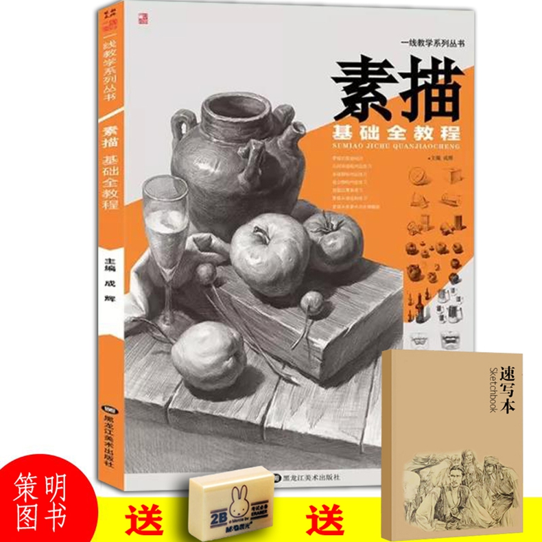 素描基础全教程 2019一线教学成辉编素描基础单个组合几何体素描石膏像五官解析头像结构练习素描静物临摹范本照片对临联考美术书