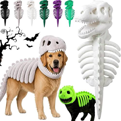 狗狗头饰白色万圣节Dinosaur Skeleton Costume恐龙骨架宠物服装