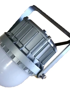 NFC9187LED泛光灯 电缆隧道照明灯NFC9187 18W廊道巷道防水防潮灯