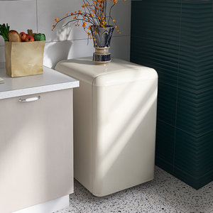 金松立式冷柜白色全冷冻