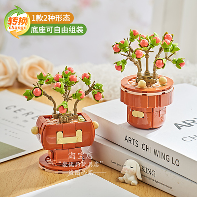 橄榄球玫瑰花积木盆栽多肉