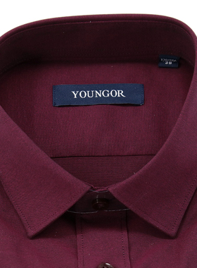 雅戈尔男长袖衬衣商务休闲修身版DP衬衫16278MFY