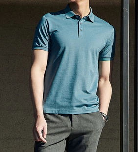 翻领POLO衫 专柜980元 商务休闲新款 雅戈尔男短袖 533099PCA T恤正品