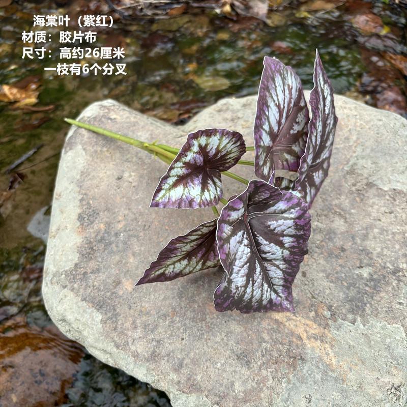 微景观秋海棠园林盆栽植物墙手感