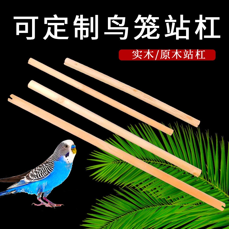 鸟用站杆木质实木带螺丝八哥鹩哥鹦鹉鸟站杠站棍鸟用品鸟笼配件杠,宠物/宠物食品及用品,鸟禽其他,淘宝优惠券,粉丝福利购,淘宝优惠卷