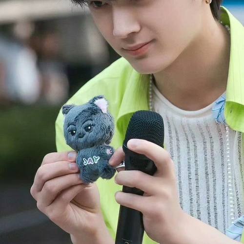 EN符娃梁祯元朴成训朴综星10cm玩偶美国猫en_nimalz小灰猫娃娃女