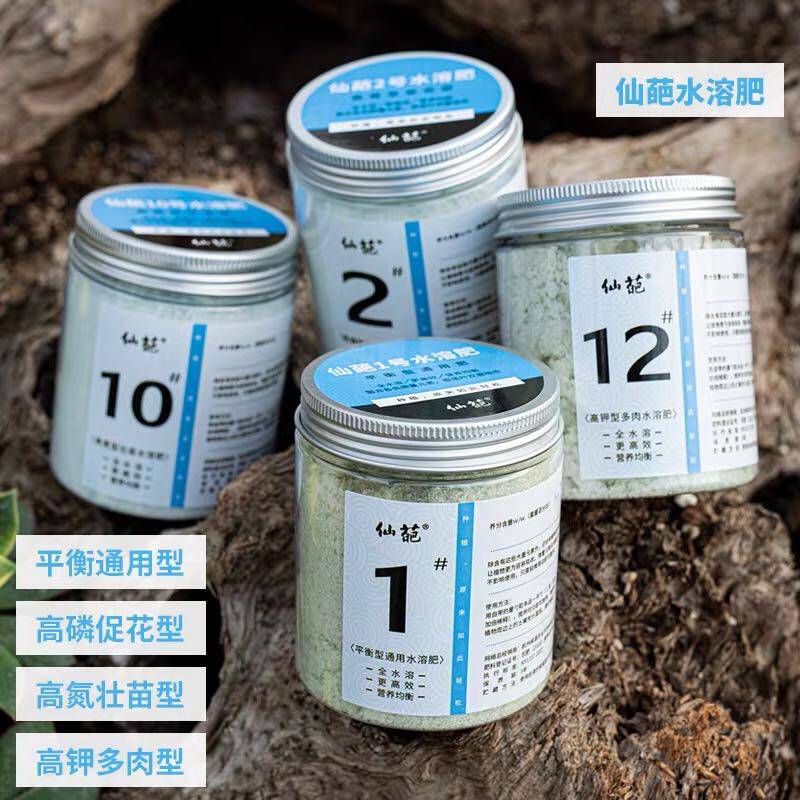 仙葩壮苗多肉月季水溶肥