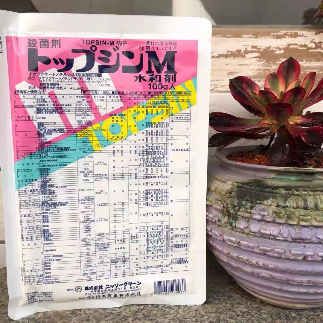 日本进口 曹达 杀菌甲基托布津水和剂 黑腐 白粉病 菌核 家庭园艺