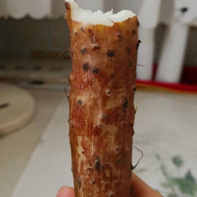 13年老店温县垆土铁棍山药 绿色类怀山 无农药膨大剂化肥 入药级