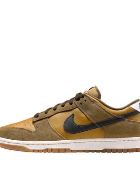 【520礼物】Nike Dunk 板鞋 经典复古百搭  IB6399-300 温州HT仓