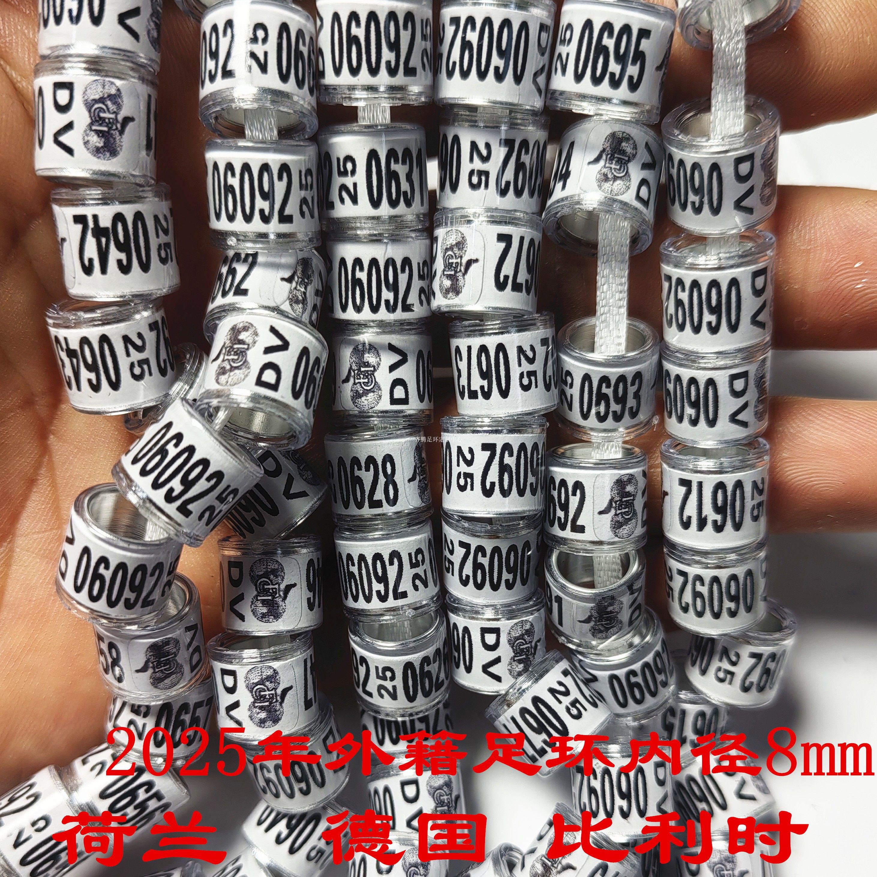 2025年外籍环 荷兰德国比利时种鸽环信鸽观赏鸽私环