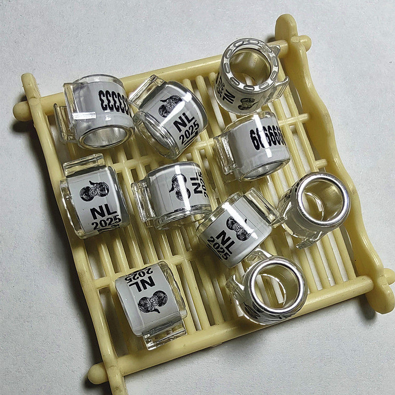 2025年荷兰信鸽足环 外籍脚环外国信鸽用品用具鸽子环