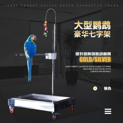 葵花鹦鹉价格 葵花鹦鹉图片 星期三