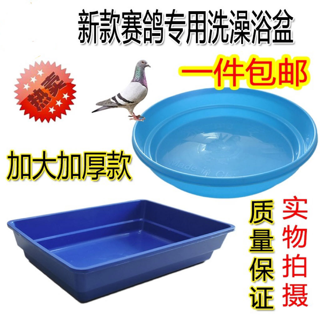 赛鸽信鸽专用大号澡盆 鸽子洗澡盆浴盆鸽子用品用具鸽具栖架站架