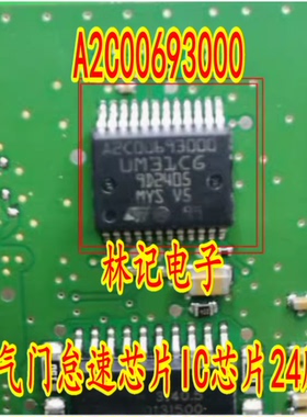 A2C00693000 UM31CG 大众奥迪新款捷达节气门怠速芯片IC芯片24脚