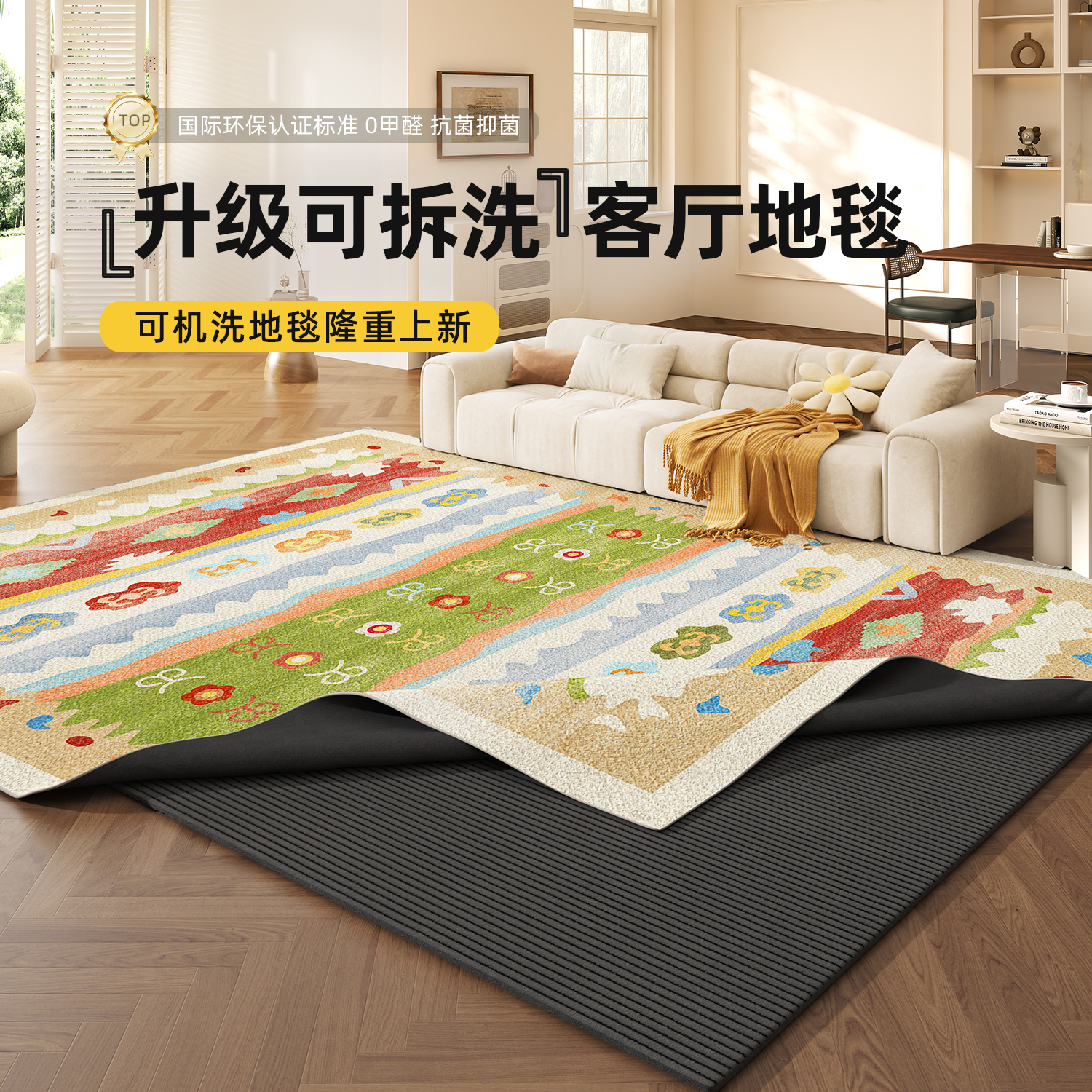 可机洗地毯客厅2025新款多巴胺免洗可擦可拆洗茶几地垫家用床边毯
