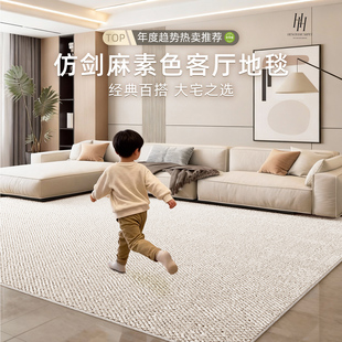 仿剑麻地毯客厅2026新款免洗可擦防猫抓地垫高级感纯色卧室床边毯